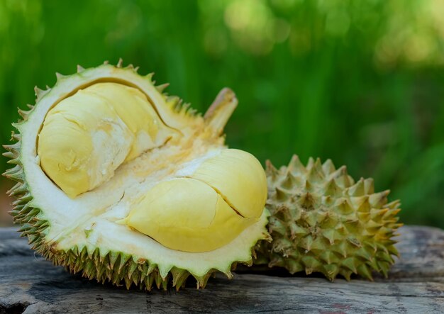 Close-up of fruit