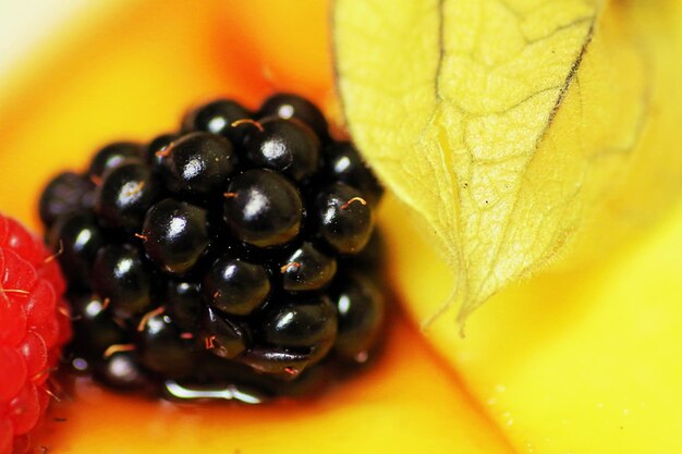 Photo close-up of fruit