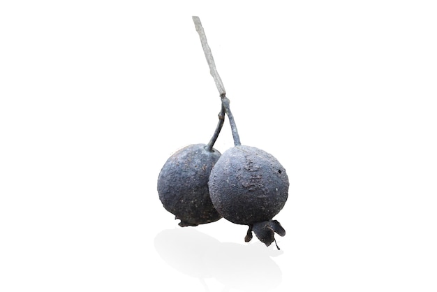 Photo close-up of fruits against white background