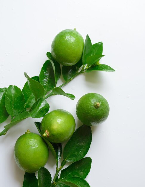 Close-up of fruits against white background