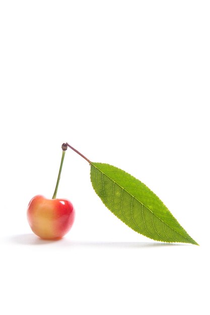 Photo close-up of fruits against white background