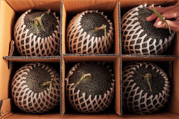 Photo close-up of fruits in basket