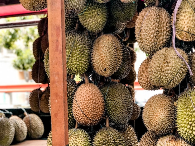 close-up of fruits on cactus at market