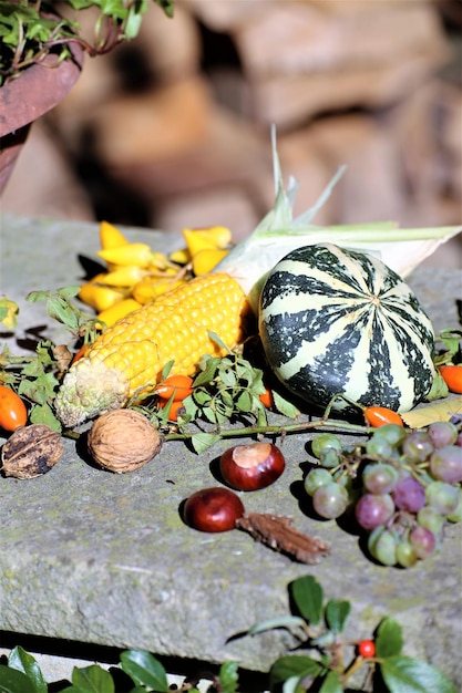 Photo close-up of fruits growing on plant