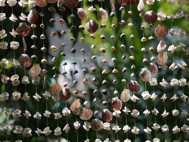 Foto prossimo piano dei frutti appesi alla pianta