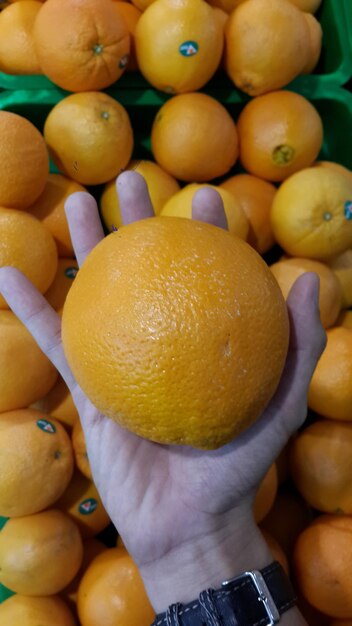 Close-up of fruits in market