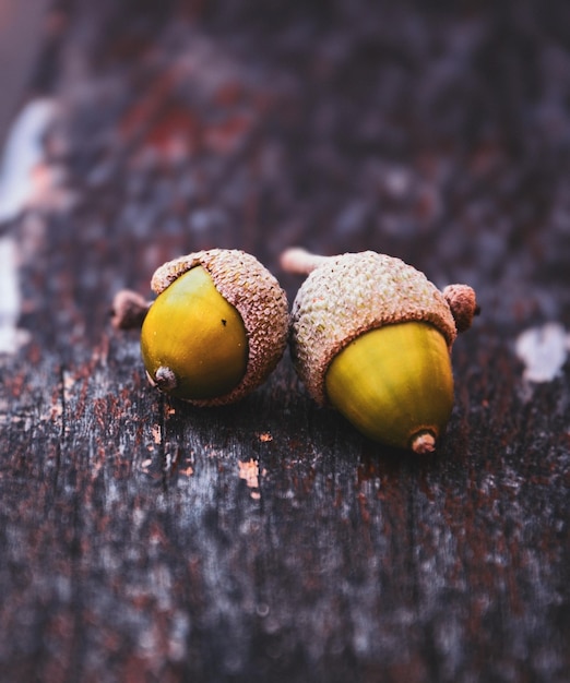 Photo close-up of fruits on table