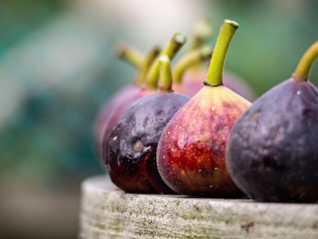 Photo close-up of fruits on table