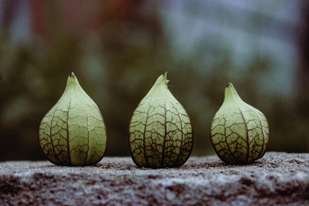 Photo close-up of fruits on table