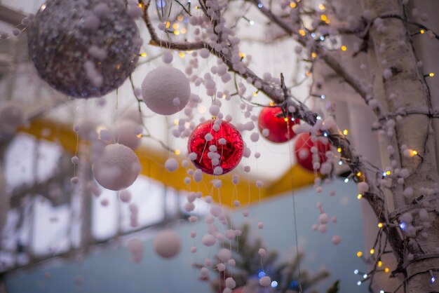 Photo close-up of fruits on tree