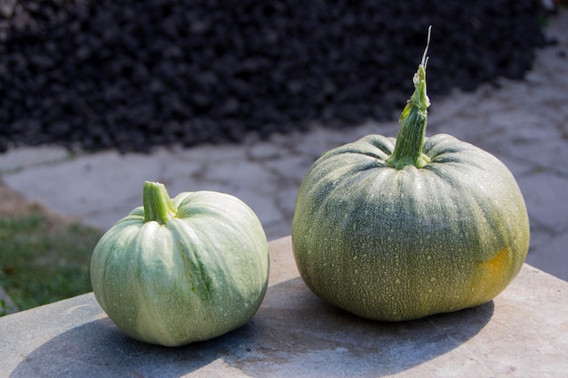 Close-up of fruits