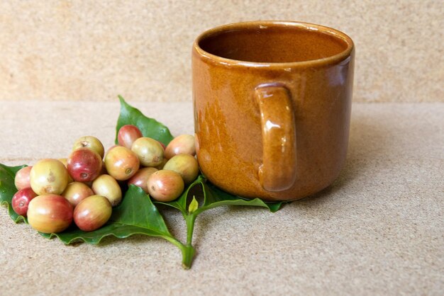 Close-up of fruits