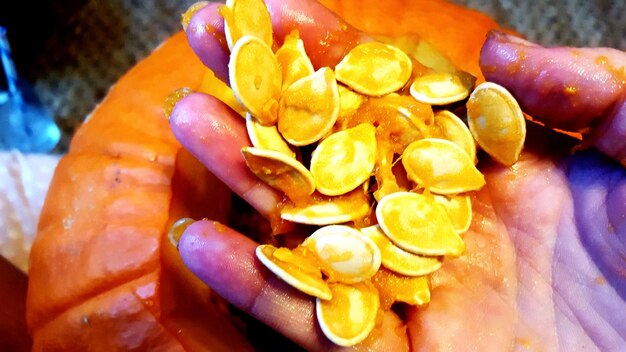 Close-up of fruits