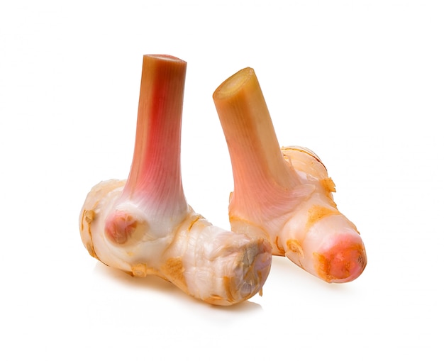 Close-up of galangal rhizomes