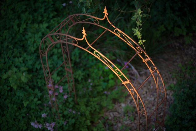 Photo close-up of garden arch