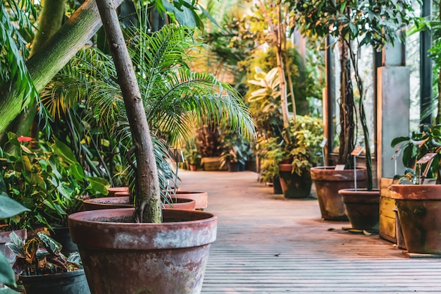 Chiuda sui vasi da giardino con le piante o sulla vendita nel mercato del deposito biologico. piante da vivaio