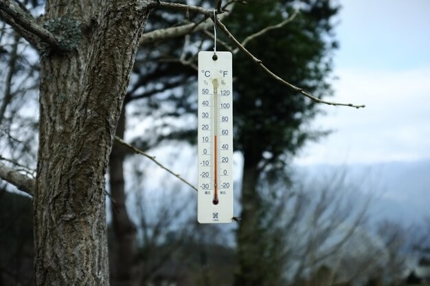 Photo close-up garden thermometer hanging on tree