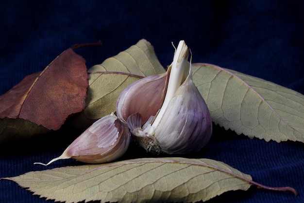 A close up of garlic and leaves