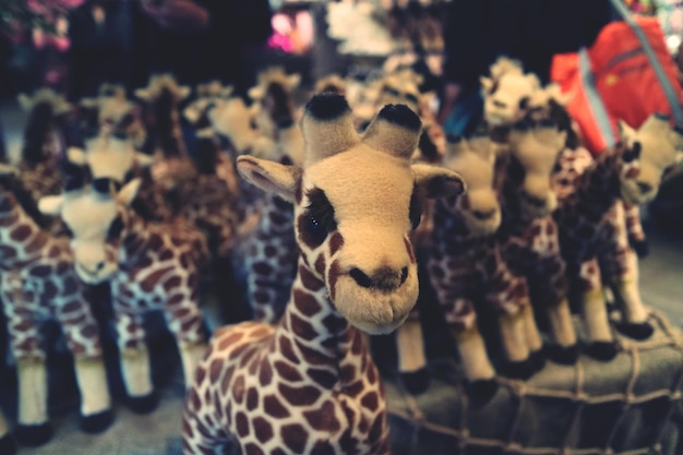 Photo close-up of giraffe toys for sale at store