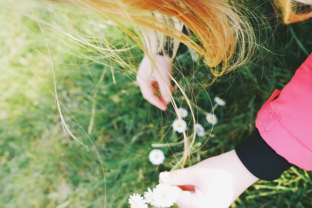 Close-up of girl hand feeding in grass