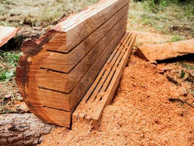 Close-up glad oppervlak van grote boom, log gesneden en verwerkt door een kettingzaag met zaagsel op de grond.