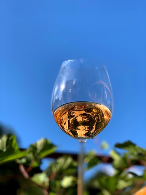 Photo close-up of glass against blue sky