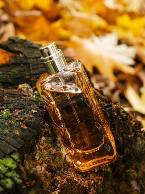 Close up glass bottle of aromatic woody luxury perfume on autumn background minimalistic packaging branding woody fragrance transparent glass cologne aroma template vertical view soft focus fall