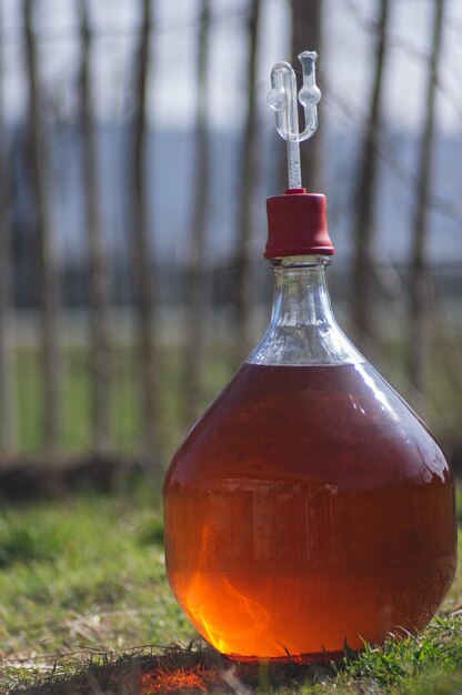 Photo close-up of glass bottle on field