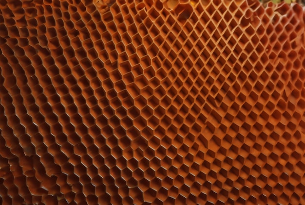 A close up of a glass of honey