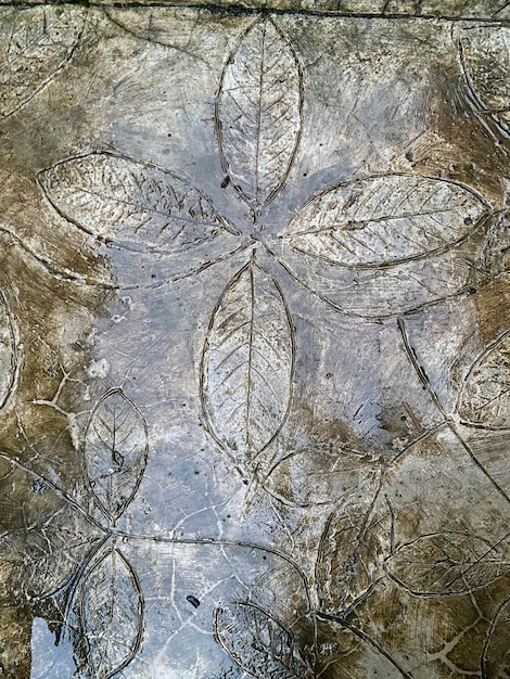 A close up of a glass with leaves etched into it.