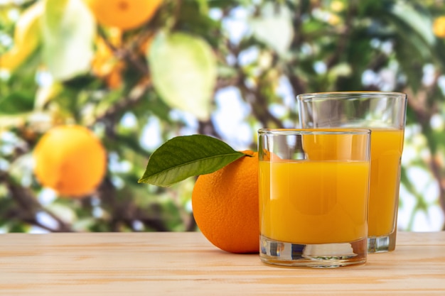 Close up on glasses of orange juice