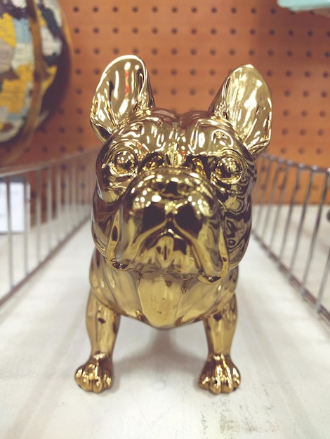 Photo close-up of gold dog souvenir