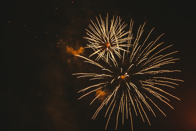 Fuochi d'artificio festivi dell'oro del primo piano sul nero