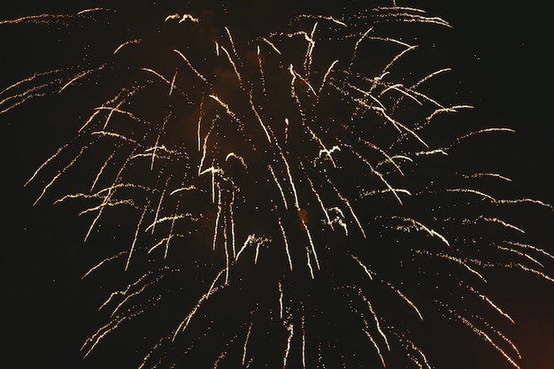 写真 黒のクローズアップゴールドのお祝い花火