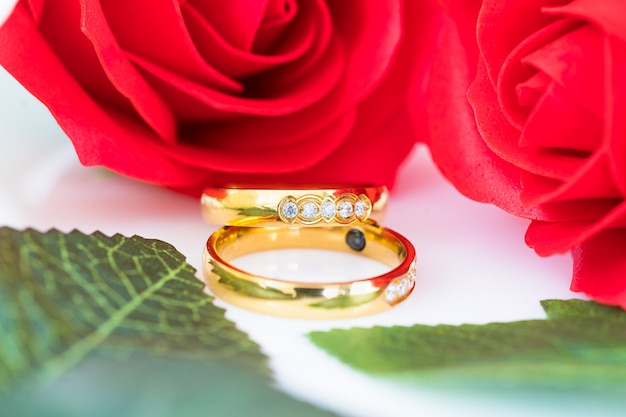 Chiuda sull'anello di oro e sulle rose rosse su bianco