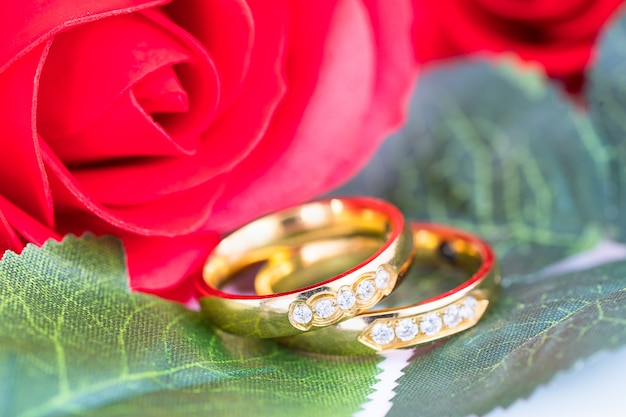 Close up Gold ring and Red roses on white 
