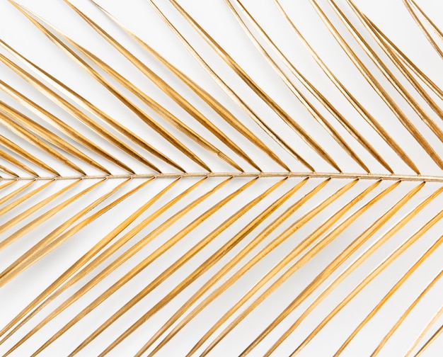 close up of golden painted tropical palm leaf on clean white background isolated