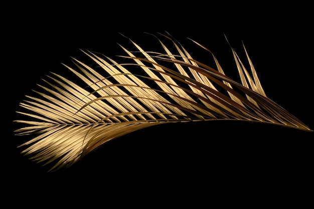 Foto un primo piano di una foglia di palma dorata