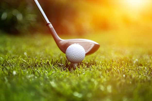 Close-up of a Golf ball club on a green lawn on a sunny day