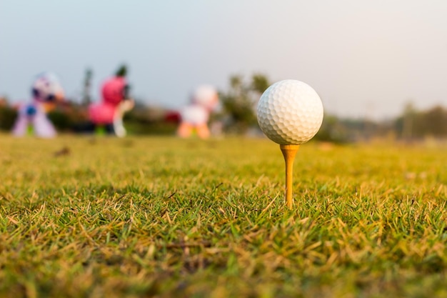 Foto close-up di una palla da golf sull'erba