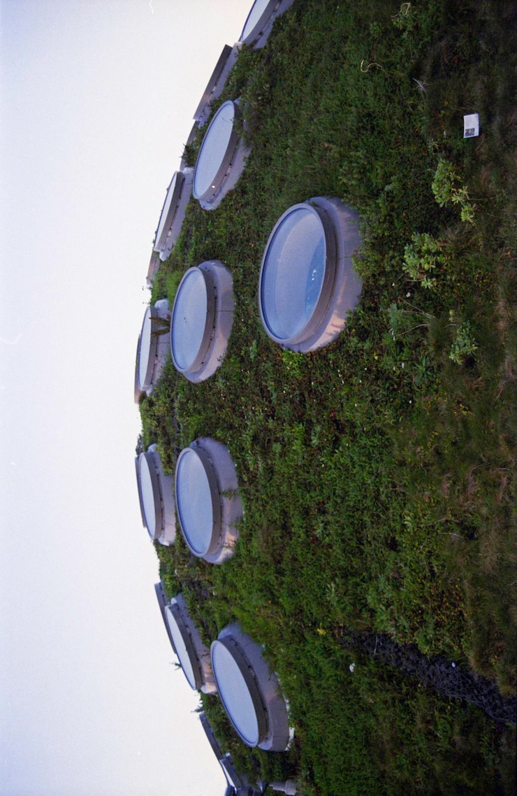 Photo close-up of golf course