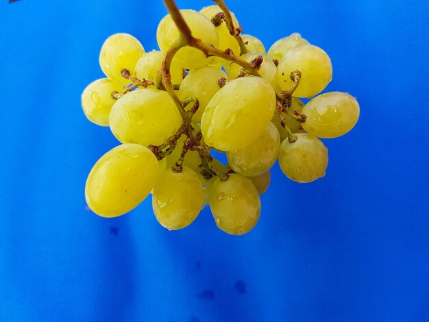 Photo close-up of grapes against blue background