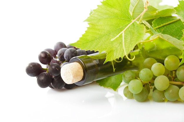 Close-up of grapes against white background