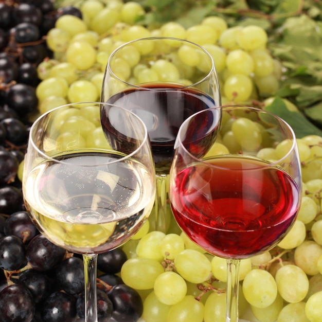 Photo close-up of grapes in glass on table