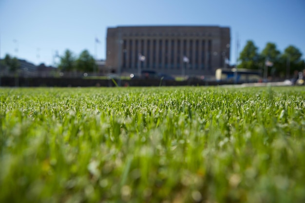 Photo close-up of grass against clear sky