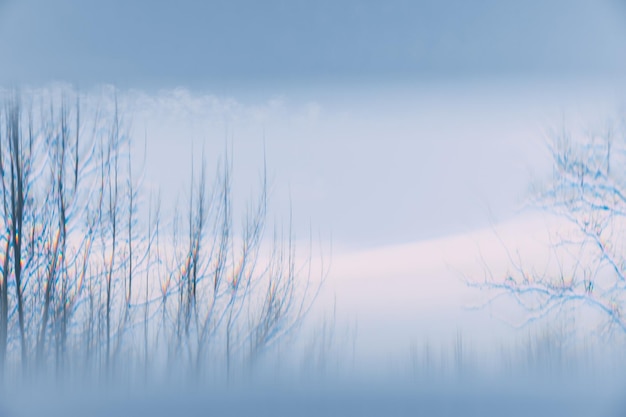 Photo close-up of grass against sky