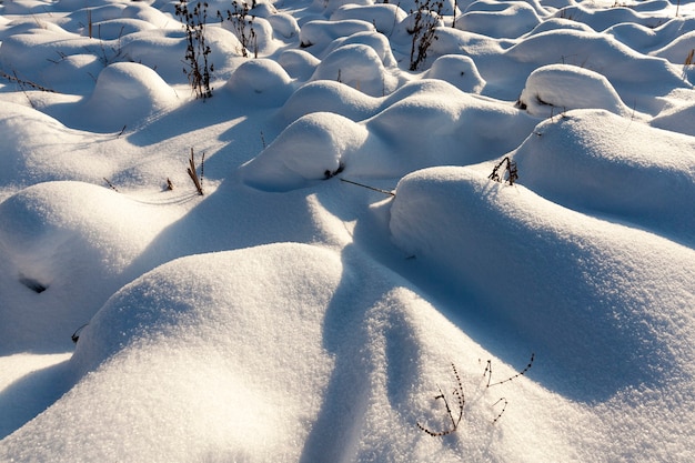 Close up on grass in drifts