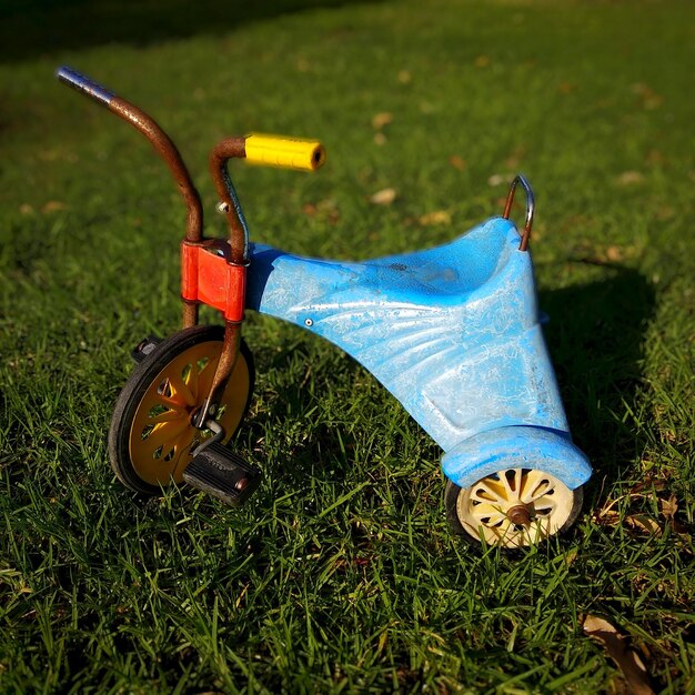 Close-up of grass on field