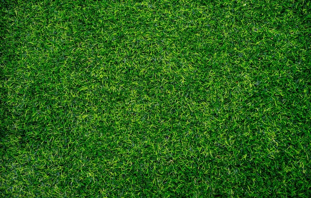 close up grass field