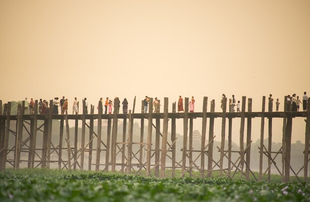 Close up grass with blured U Bein bridge